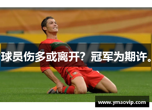球员伤多或离开？冠军为期许。
